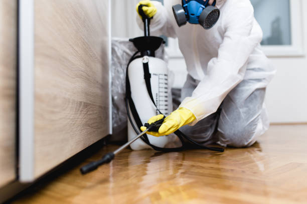 Best Flea Control Services  in Sherwood, WI