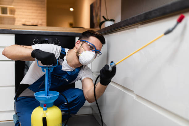 Best Emergency Pest Control  in Sherwood, WI