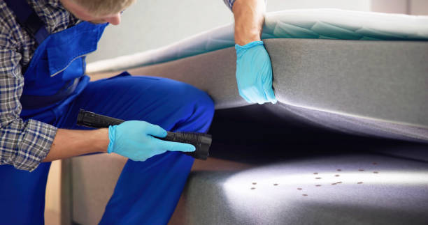Best Best Pest Control Companies  in Sherwood, WI