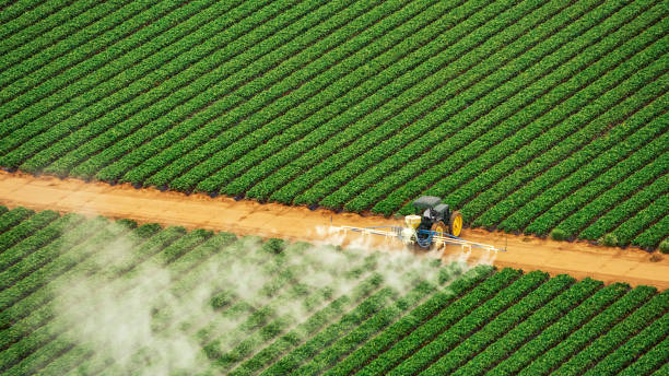Insect Control in Sherwood, WI