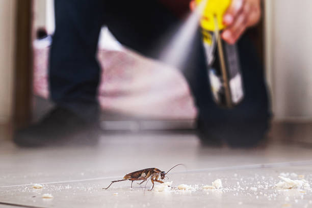 Best Wildlife Control Services  in Sherwood, WI