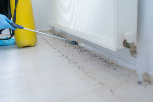Best Local Pest Control Services  in Sherwood, WI