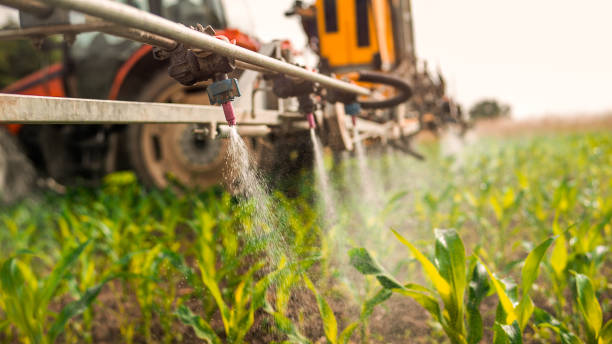 Best Commercial Pest Control Services  in Sherwood, WI